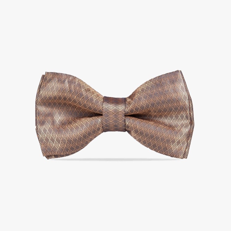 muszka meska miedziana, muszka brazowa