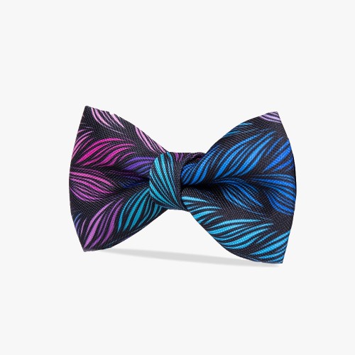 muszka meska kolorowa