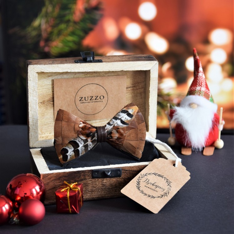 muszka męska brązowa