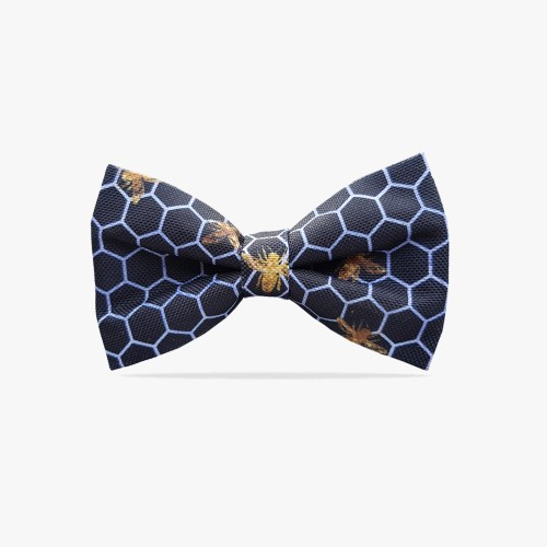 muszka męska w plastry miodu