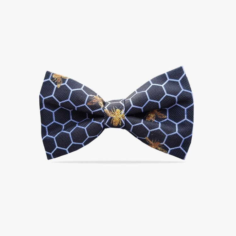 muszka męska w plastry miodu