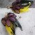 Photoroom_20240209_192459.jpeg