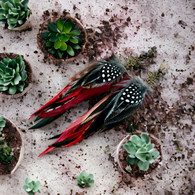 redpepper kolczyki z piórami