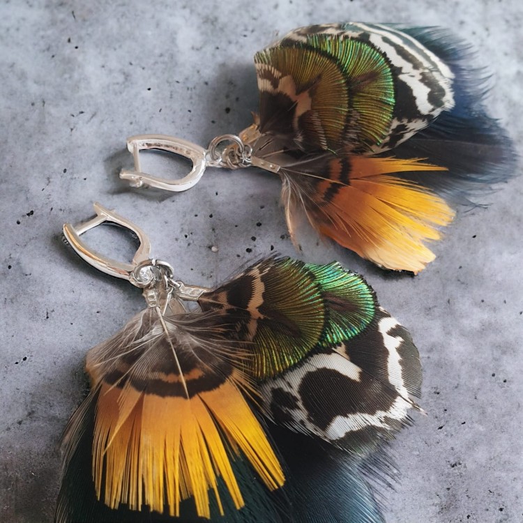 kolczyki z piór peackook