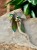 Photoroom_20240821_155150.jpeg