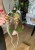 IMG_9802.jpeg